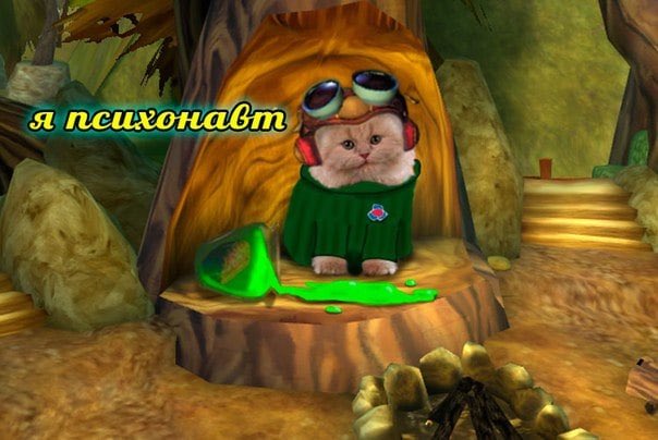 E438mstXMAEmCDY?format=jpg&name=small