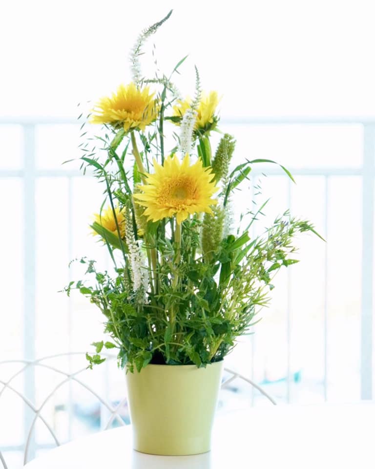 三浦半島の風工房 Kazekobo تويتر