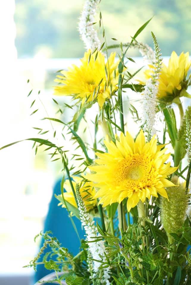 三浦半島の風工房 Kazekobo تويتر