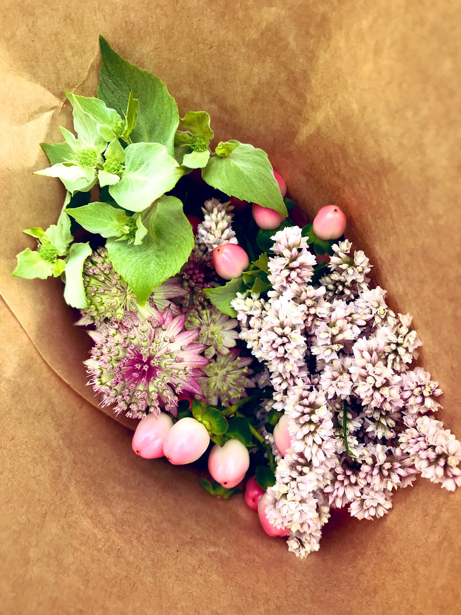 マウンテンミント Twitter Search