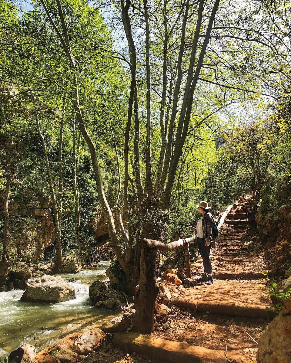 Here’s a reminder to always take the scenic road.

📸 Captured by @ptakingphotos

#lebanontraveler #lebanon #nature #photography #travel #naturephotography #beautifullebanon #newadventure #newactivities #newplaces #beitchlela