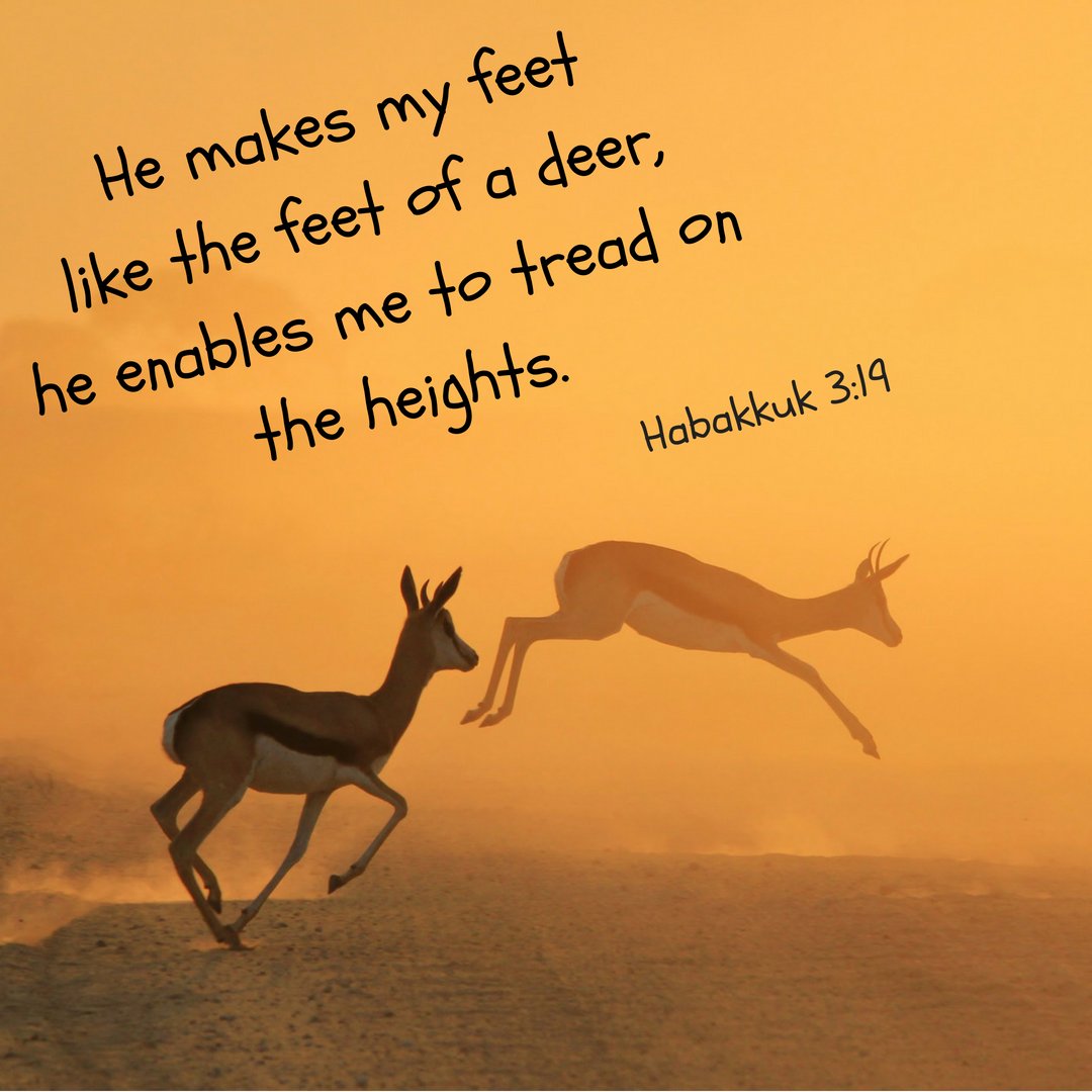Hugged by God Habakkuk 3:17-19 - mailchi.mp/d594f14e6bcf/h…