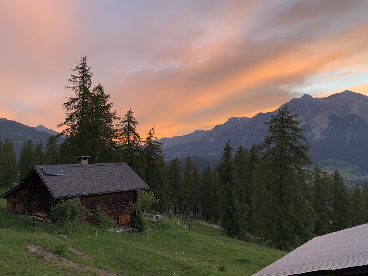 polek_anna's tweet photo. Morgenstimmung #Stierva @Graubunden https://t.co/r9fZAwBcjb