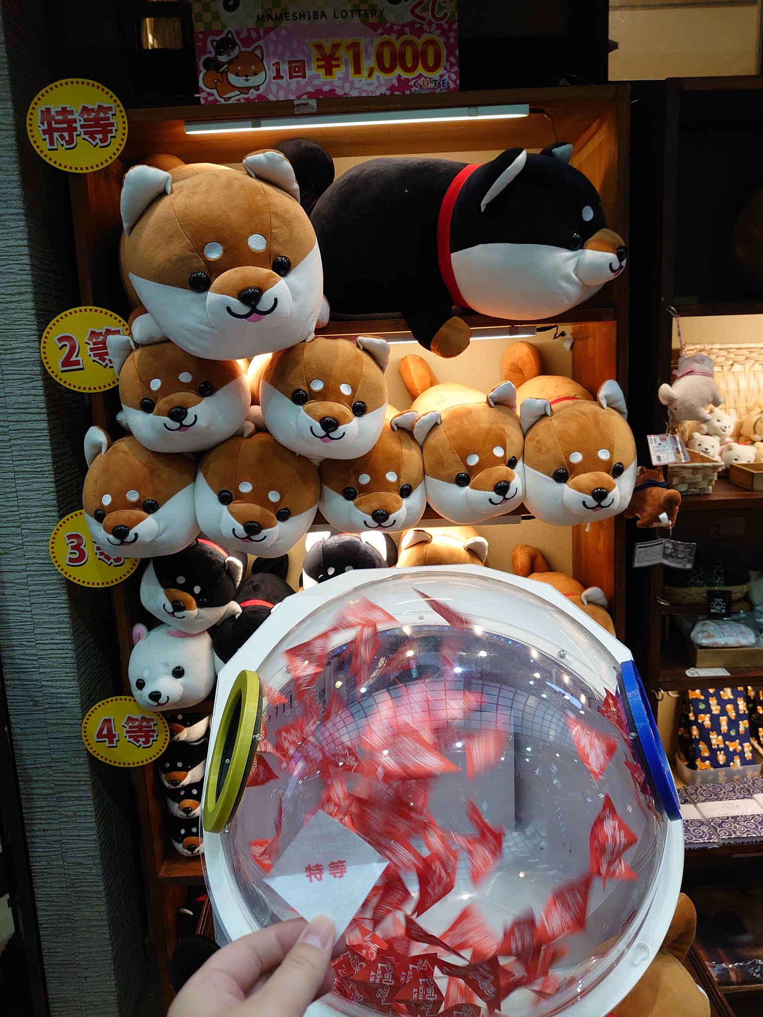 ハッピーまめしば　親子ぬいぐるみセット特賞と２等　柴犬　しばいぬ ハッピーまめしば 親子ぬいぐるみセット特賞と2等 柴犬 しば