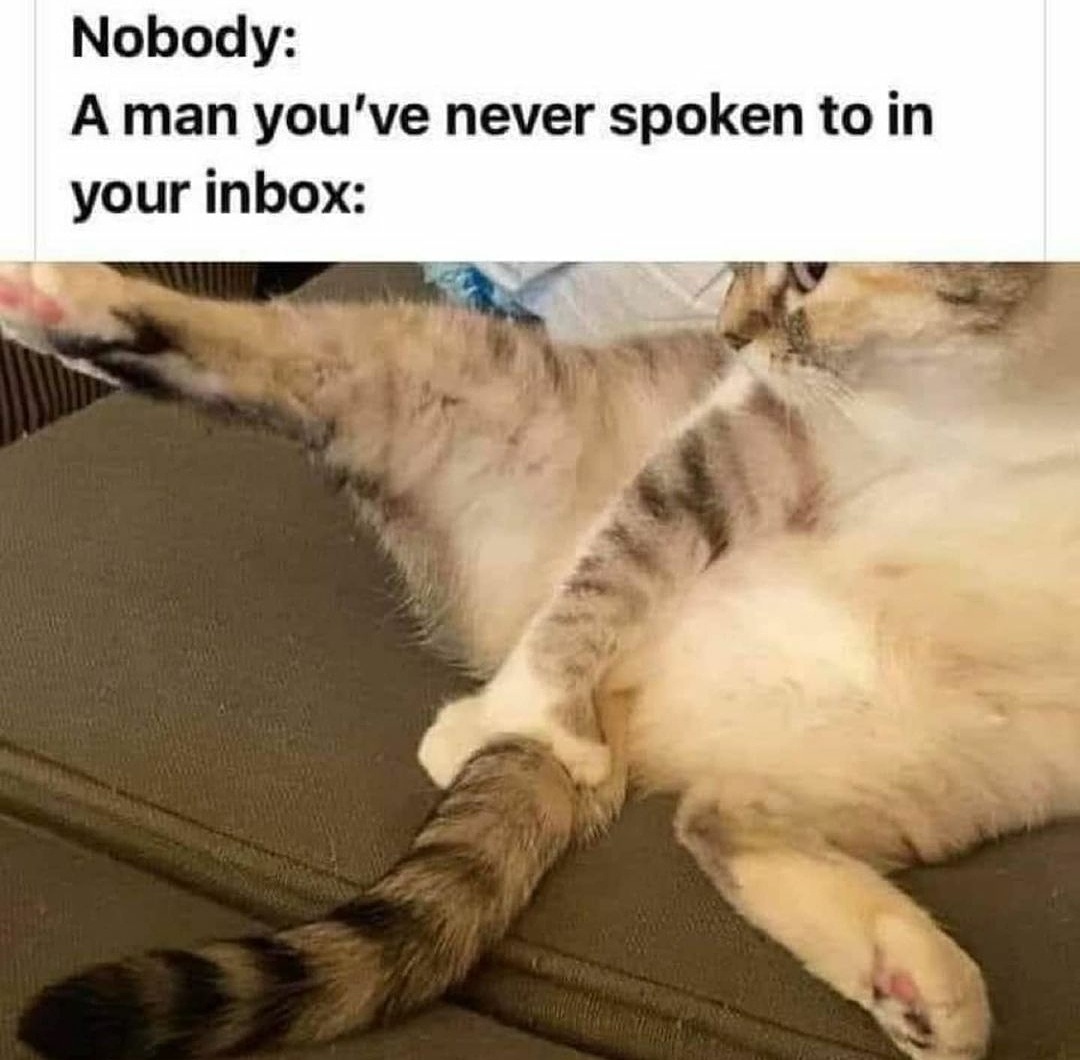 OrangeCorny's tweet photo. A daily morning routine be like
.
.
.
#memesdaily #MEMES #funny https://t.co/AfWC93HCzE