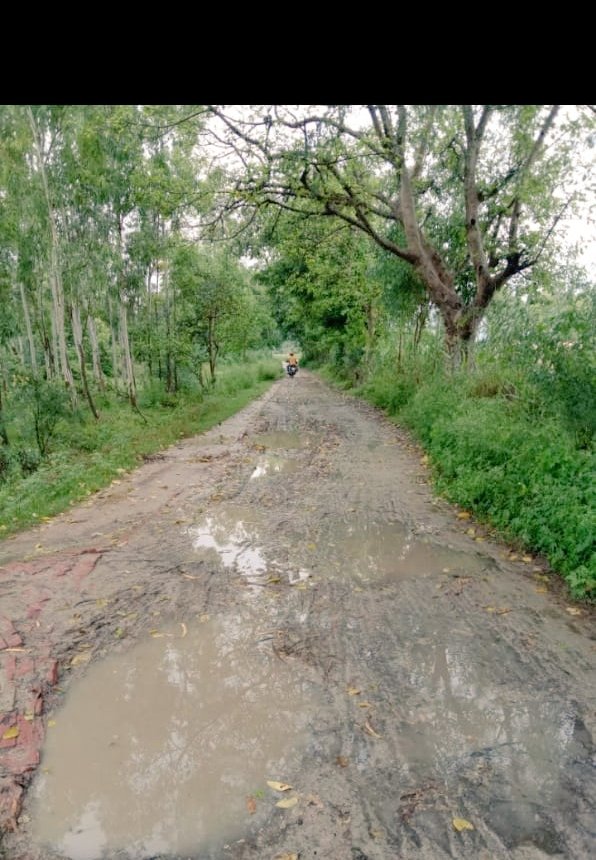GTripathi763's tweet photo. @DmAmethi @smritiirani @CMOfficeUP श्रीमान जिला अधिकारी महोदय आपके जिले अमेठी की पहली ग्रामसभा खरावां ब्लॉक सिंहपुर भी देखने की कृपादृष्टि ���रे। इस समय बरसात में रास्तो का आलम बहुत ही दयनीय है, महोदय पैदल चलना बहुत मुश्किल है।
धन्यवाद
@Q8RqAJImIKVKQ1a 
@AjayLalluINC https://t.co/wNm9nA0JNj