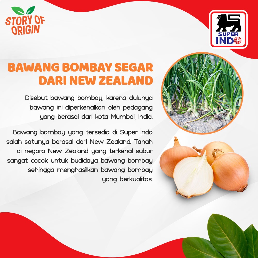 InfoSuperIndo's tweet photo. Di #storyoforigin kali ini minda mau kasih tau bawang bombay yang tersedia di Super Indo selalu SEGAR dan berkualitas. Iya bu, soalnya didatangkan langsung dari New Zealand. Buat yang mau masak, yuk beli #keSuperIndo sekarang!
#SuperIndo #SuperSegar #SuperHemat #SegarnyaHemat https://t.co/yvQ0Jr8eBo