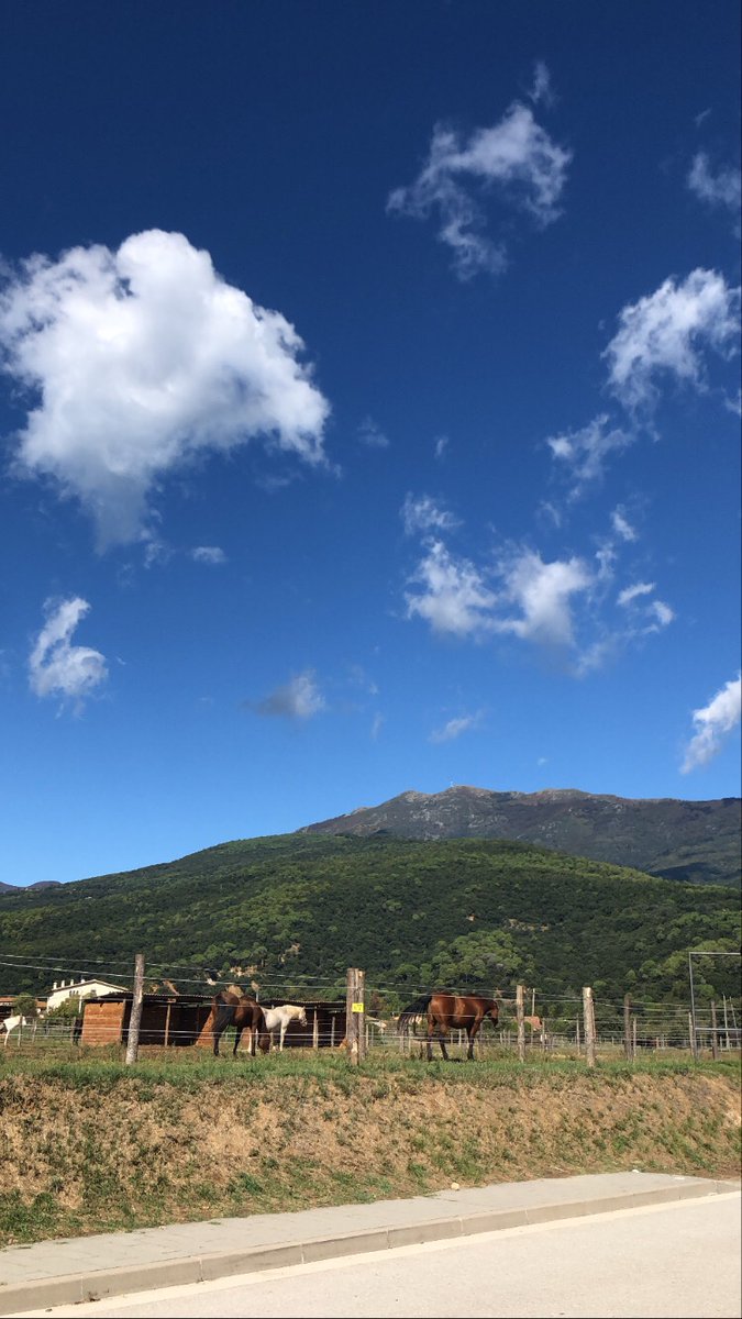 laurapique97's tweet photo. Vivo en un lugar muy bonito🙏🏼 🌼 https://t.co/igdzXNc9te