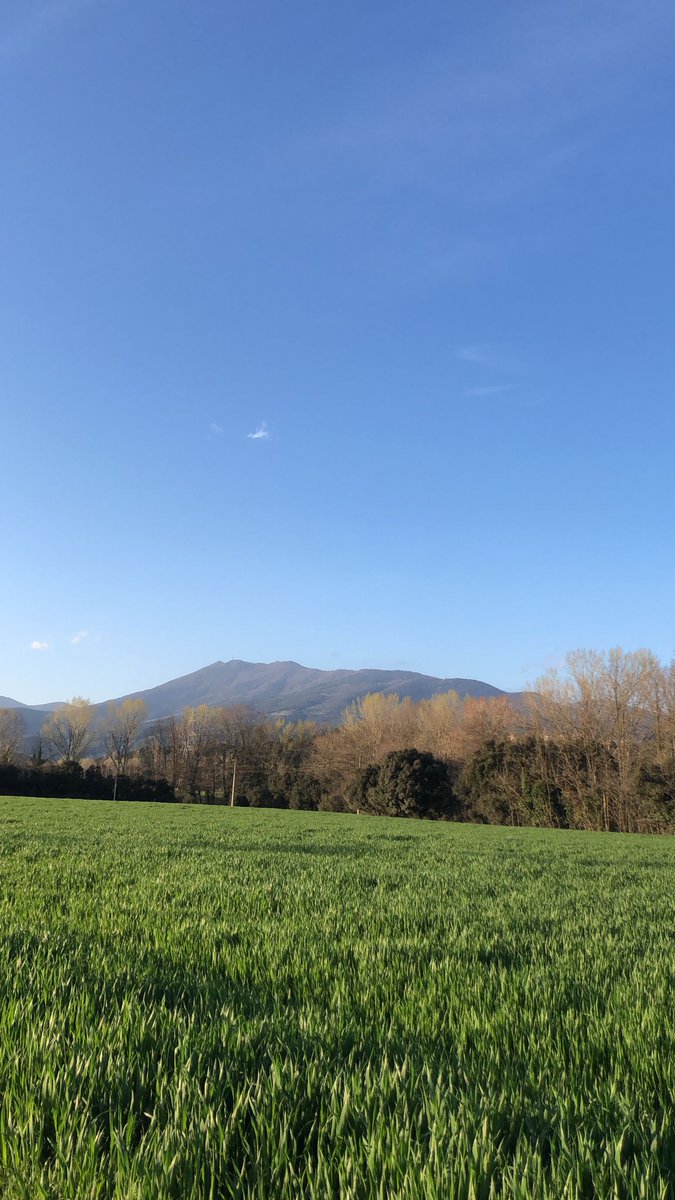 laurapique97's tweet photo. Vivo en un lugar muy bonito🙏🏼 🌼 https://t.co/igdzXNc9te