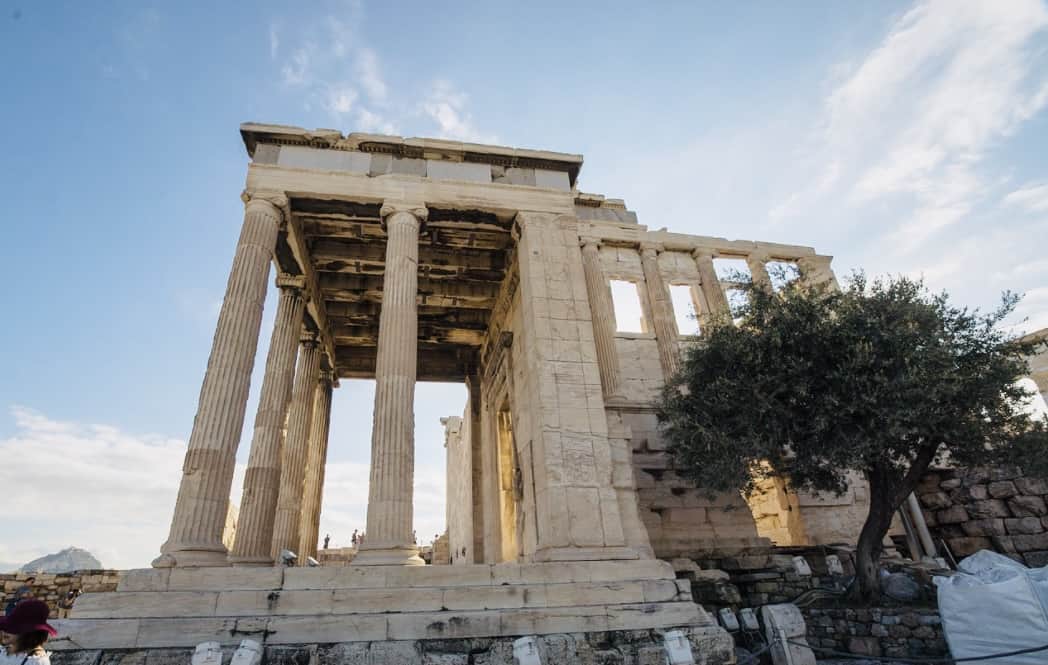 The Ancient, Sacred Olive Tree of the Acropolis that Never Dies greekcitytimes.com/2021/06/27/oli…
#greece #greek #greekcitytimes