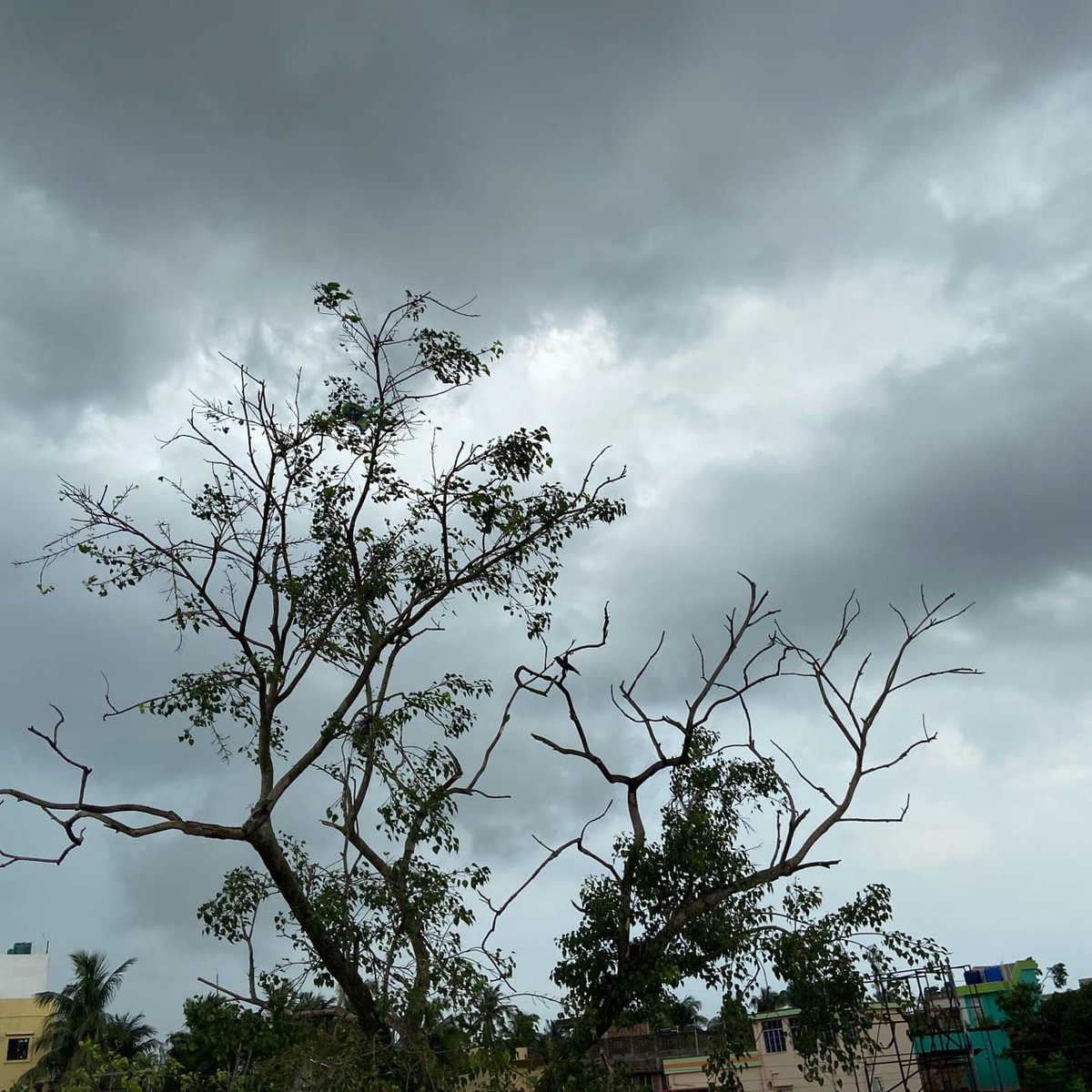 RAHULRM2002's tweet photo. #monsoon2k21 
#CLOUDPHOTOGORAPHY 

                                  SOME GLIPMSES
                                          OF THE 
🌧️🌧️🌧️🌧️🌧️🌧️🌧️🌧️CLOUDS🌧️🌧️🌧️🌧️🌧️🌧️🌧️
                            TODAY IN ARAMBAGH https://t.co/TX9bDLunFR