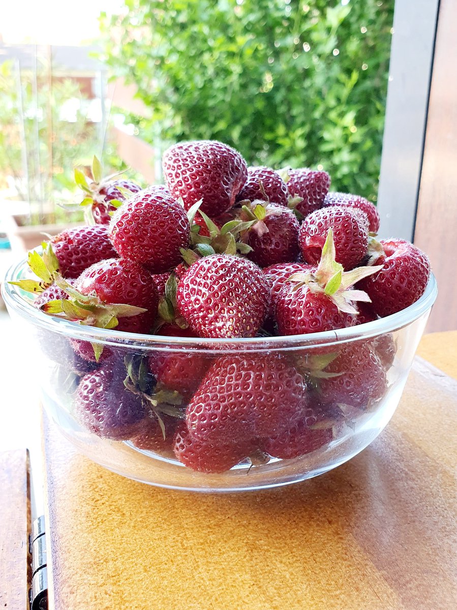 ups306's tweet photo. Guten Morgen 
3 Minuten Garten und 1. Frühstück ist fertig https://t.co/7oYP0SejaV