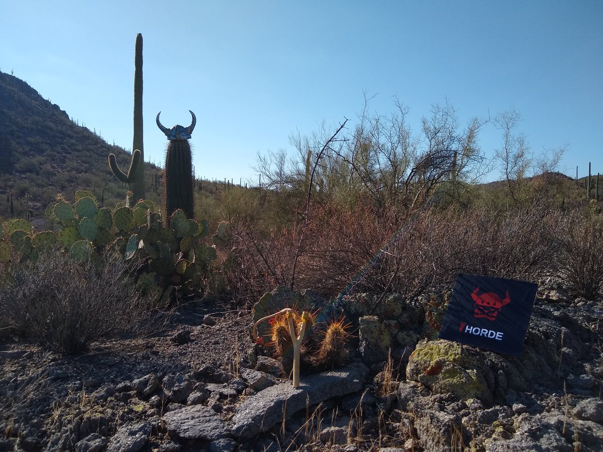 Sun Sign tweet media