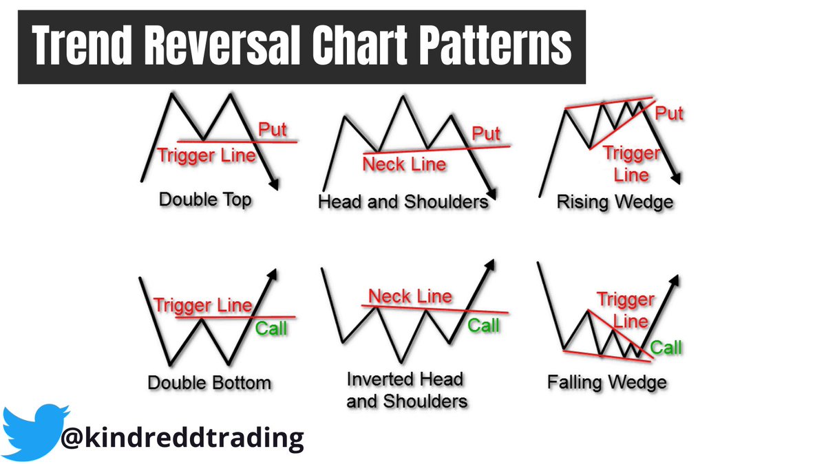 Kindredd tweet media