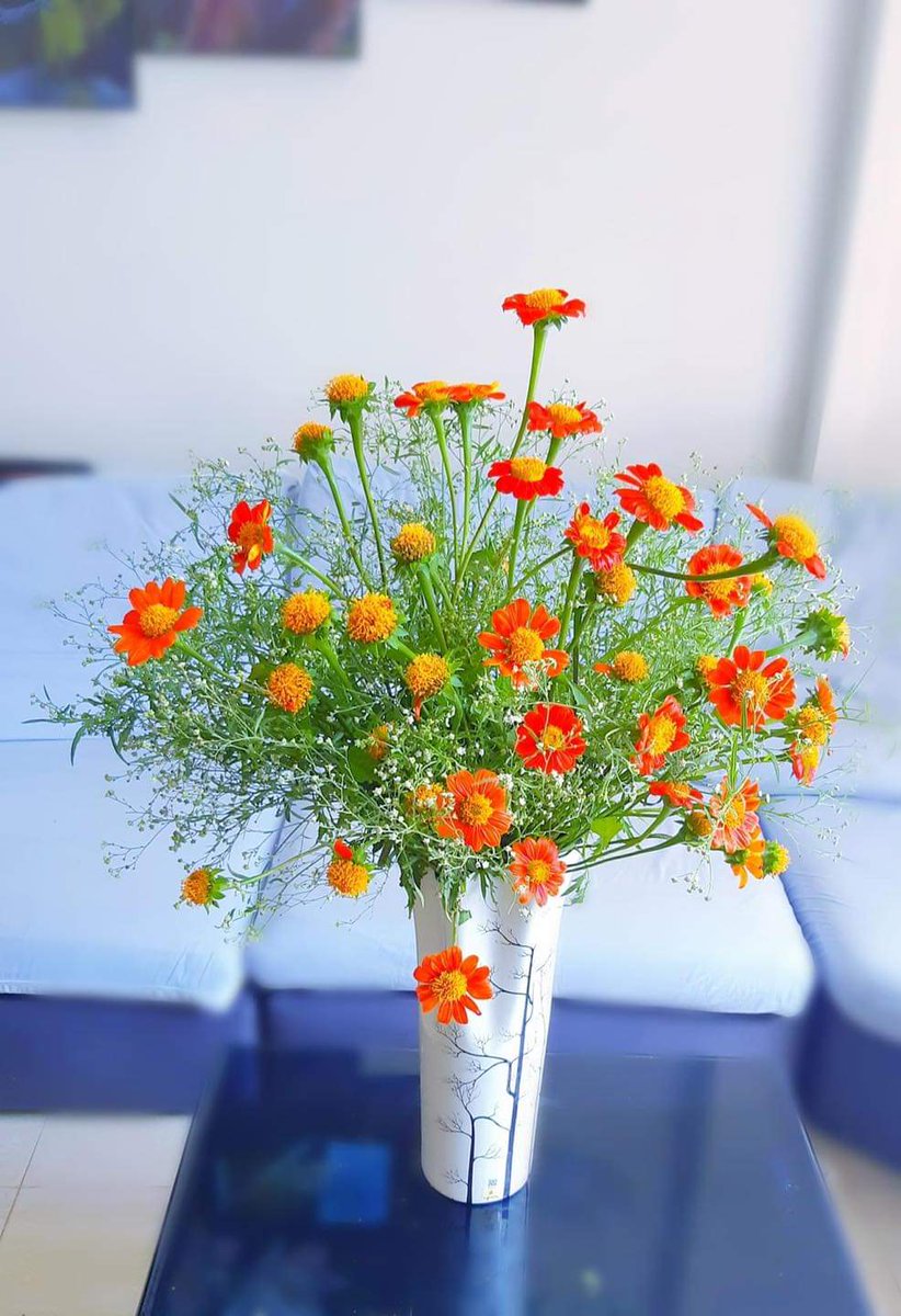 Giaphucr (@giaphucr) on Twitter photo 