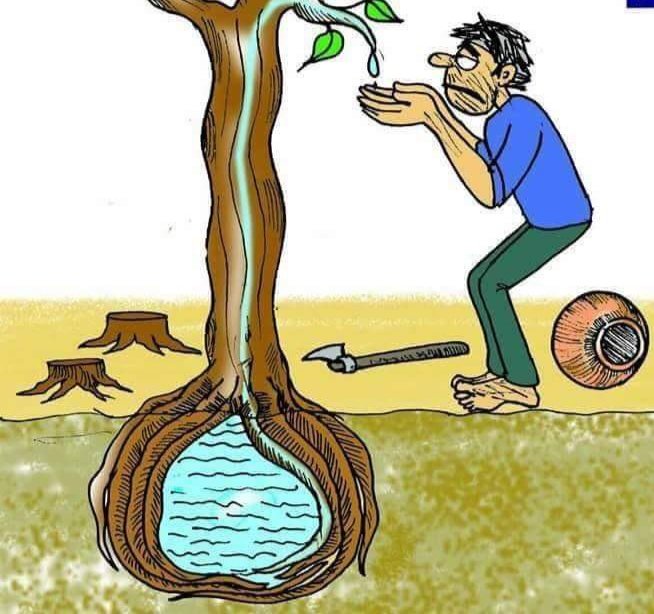 Krssr3's tweet photo. Tree Can Save Our Live Not The Diamonds.

I STAND WITH BUXWAHA FOREST
@PMOIndia @PrakashJavdekar @ChouhanShivraj @VPSecretariat https://t.co/F86bclmRZa