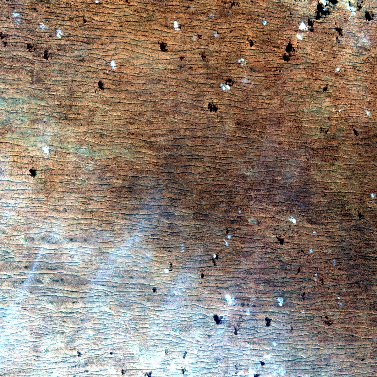 Sentinel 2 Bot tweet media