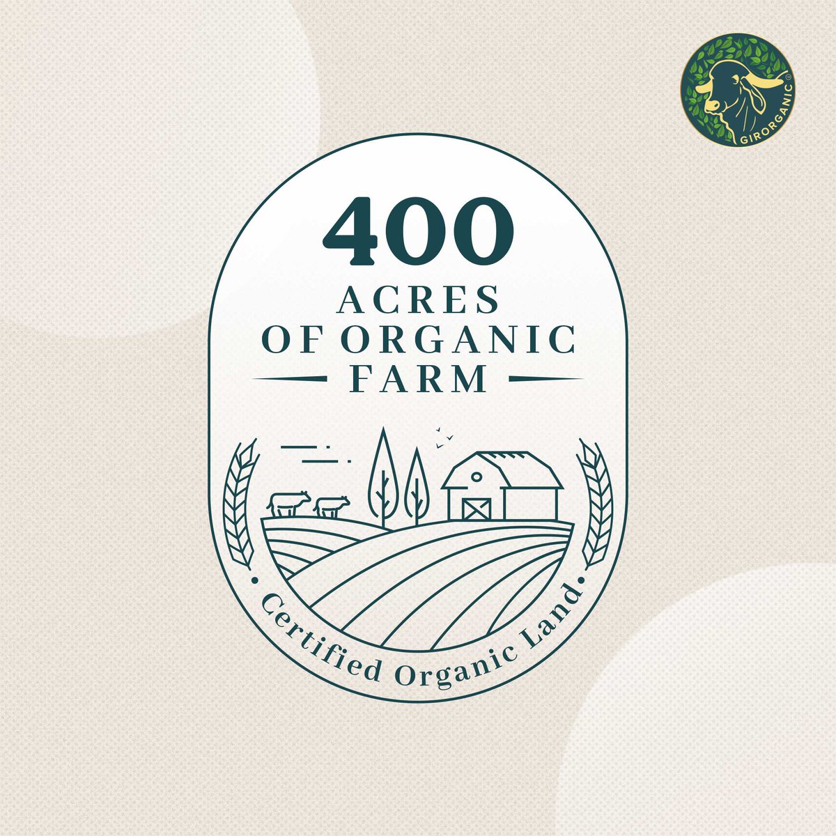OrganicGir's tweet photo. With about 400 acres of organic farmlands, our robust Gir cows graze freely and openly on our farms, without any restraints. All our products are sourced with cruelty-free methods. GirOrganic is a self-sustaining, ethical ecosystem in itself.

#selfsustaining #ecofriendly https://t.co/vaHNcaYcyR