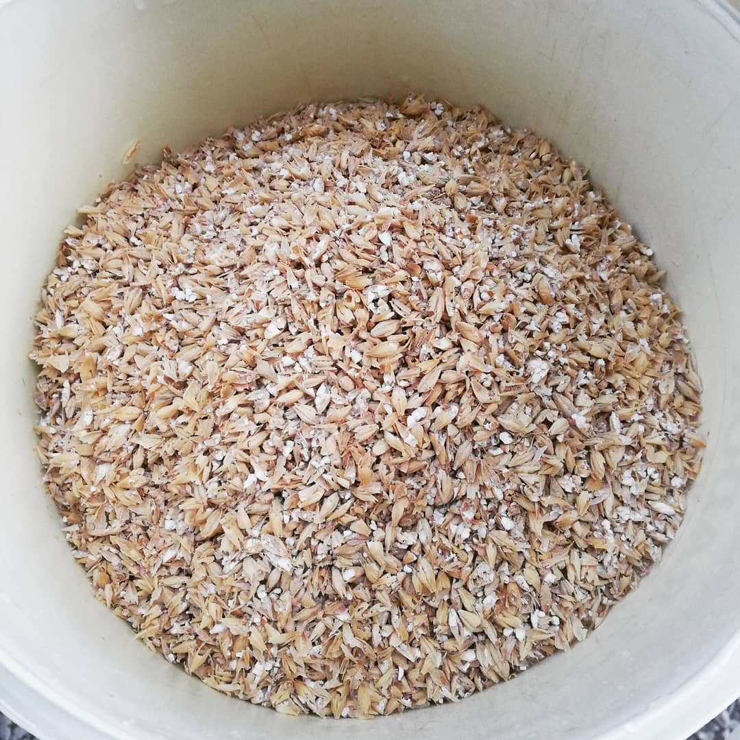 milbeerista's tweet photo. Fent una imperial IPA de bon matí!
#craftbeer #cervesaartesana #cervesaartesanal #IPA #IndiaPaleAle #cerveza #pivo #birra #pornbeer #cervesa #olut #øl #bière #beerporn #beergeek #craftbeerlive #localbeer #localdrink #localbrew #localbrewing #homebrewing #homebrewers #homebrew https://t.co/j21l9BvUg3