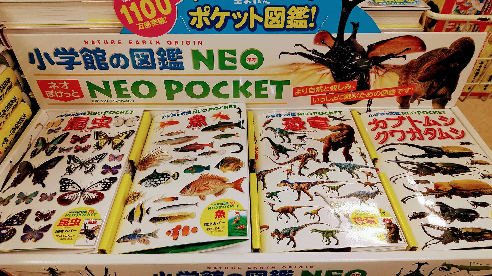 小学館の図鑑NEOポケット プランクトン ～クラゲ・ミジンコ