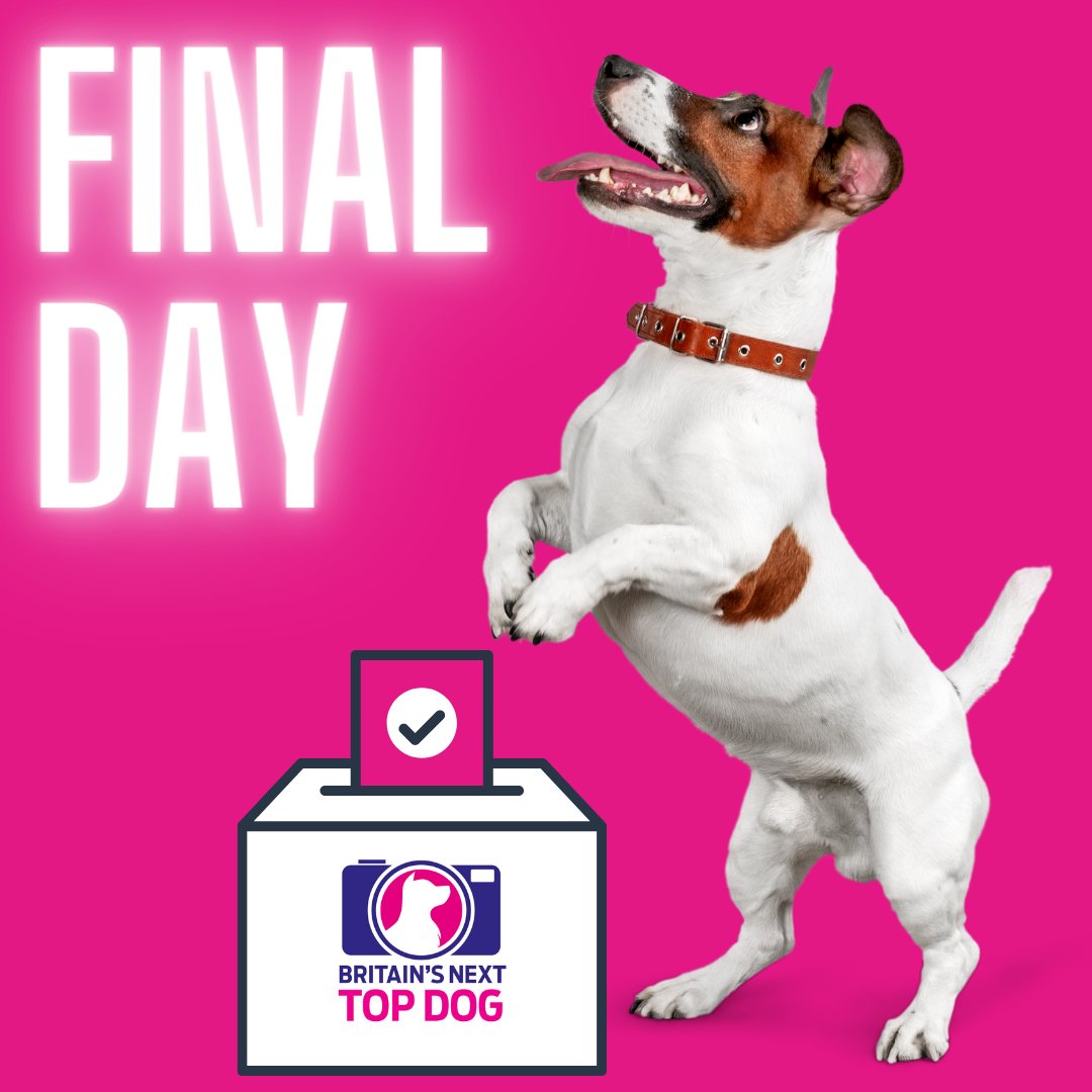 PUBLIC VOTING CLOSES TODAY!!!

LAST CHANCE TO VOTE FOR BRITAIN'S NEXT TOP DOG!

Visit britainsnexttopdog.com/winners/ to vote now and raise funds for Cancer Research UK