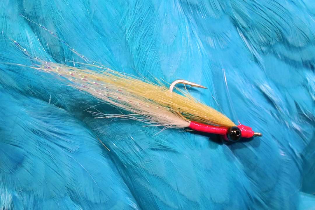 flickinfeathers's tweet photo. https://t.co/aLS02bbLXD new video for the gotcha clouser is up now #bonefish #bonefishfly #flyfishing #flytying #fishing https://t.co/6LrwMBn0bi