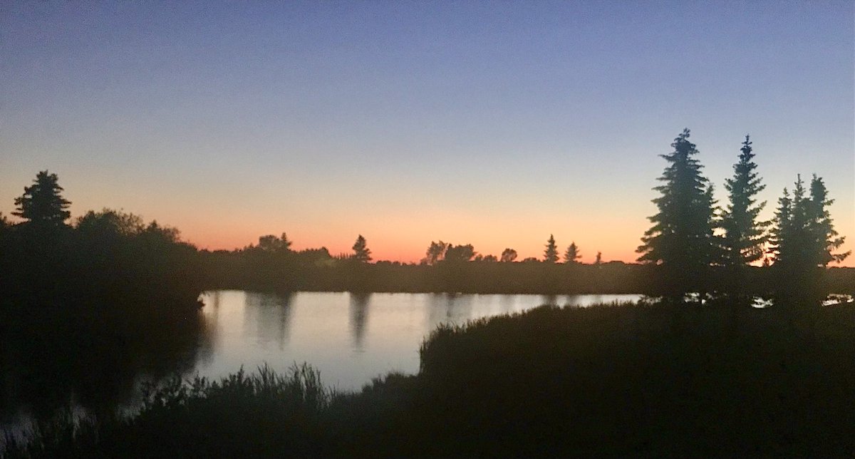 Best late night walk of 2021. Full disclosure…it’s also the second late night walk of 2021.