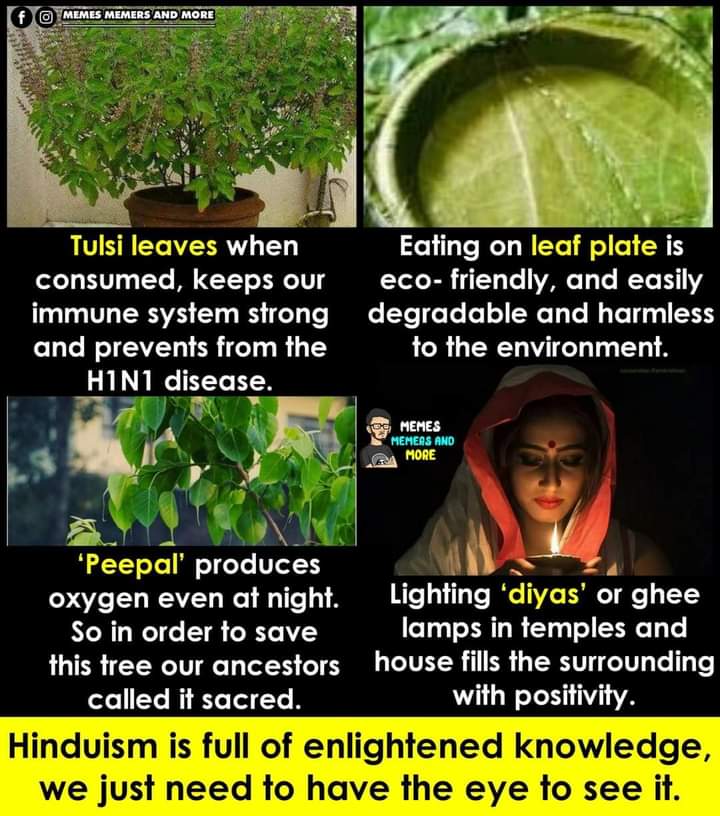 Most of the medicinal plants in India are venerated as divine. All of them are Devatas for us. Take Tulsi, Bilwa, Neem, Drbhankur, Coconut, Beetel leaf, arecanut Adrak and the plant. Same way we  respect certain animals like cow,elephant, peacock etc.This is our cultural heritage https://t.co/LYFVqAu9H2