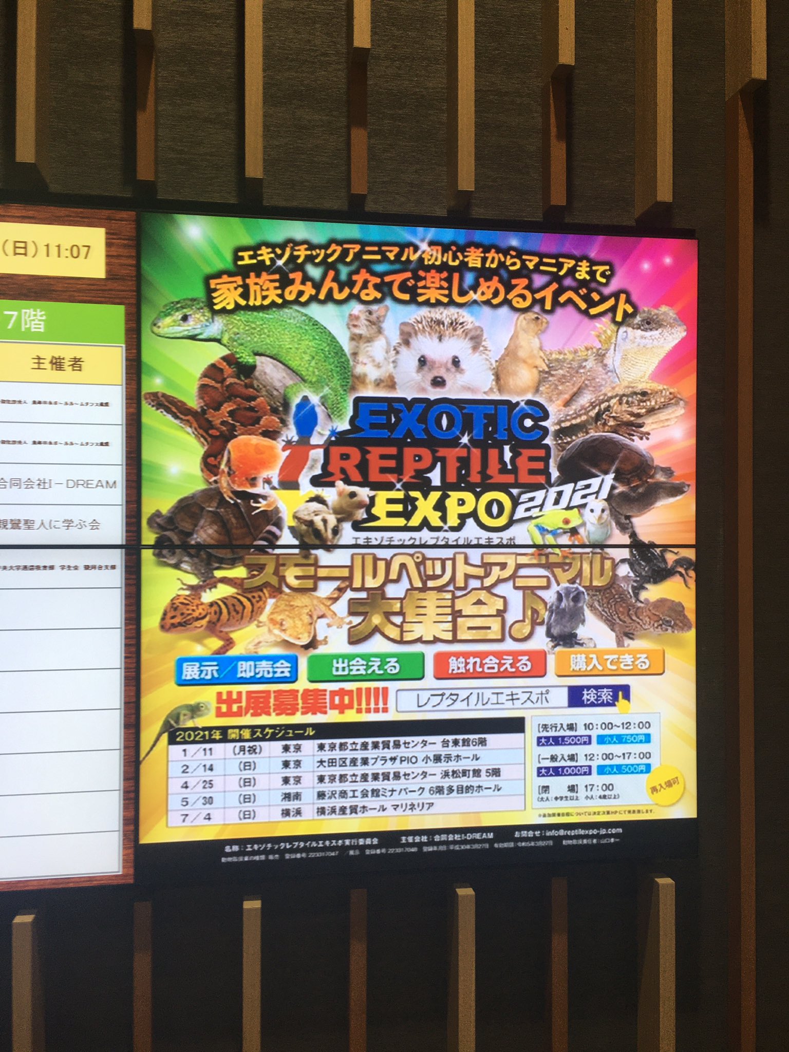 レプタイルエキスポ Twitter Search Twitter