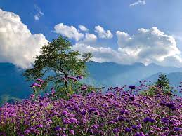 53. Every time I hear my text tone, I always hope one of them is from you. My cell phone may have limited memory space but my heart has unlimited space for someone like you.