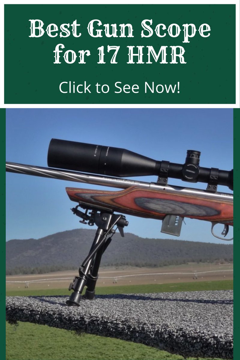 WyatBaker's tweet image. #BestGunScope for #17HMR
We’ve looked closely at some of the top rated scopes for the 17 HMR in order to make this list. 
There are a couple of things to bear in mind before you go shopping for the #bestscope for 17 HMR huntingillustrated.com/best-gun-scope…