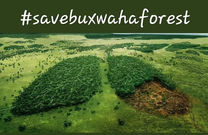 "I STAND WITH BUXWAHA FOREST"

More than 2 lakh trees are about to be cut for Diamond mining in #BuxwahaForest. 
Is mining more important than trees? 

Let's unite to save the Lungs of the Earth. 
#SaveBuxwahaForest #istandwithbuxwahaforest

<a href="/Earthworri1/">Earth Warrior</a> <a href="/SaveBuxwaha/">SAVE BUXWAHA FOREST</a>