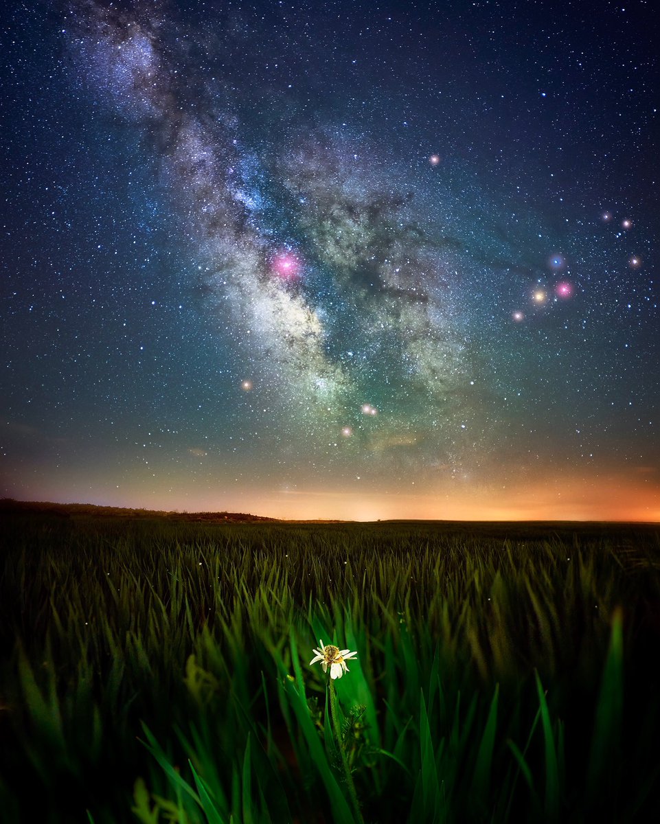 IgnacioMunicio's tweet photo. One of my passions is to photograph the Milky Way. I hope you enjoy as much as I do images that allow you to dream that there will be up there. Good Sunday
#NFTCommunity #NFTs #NFTartist #NFTcollection #night #landscapephotography #NFTdrops https://t.co/tj6mIAt28C