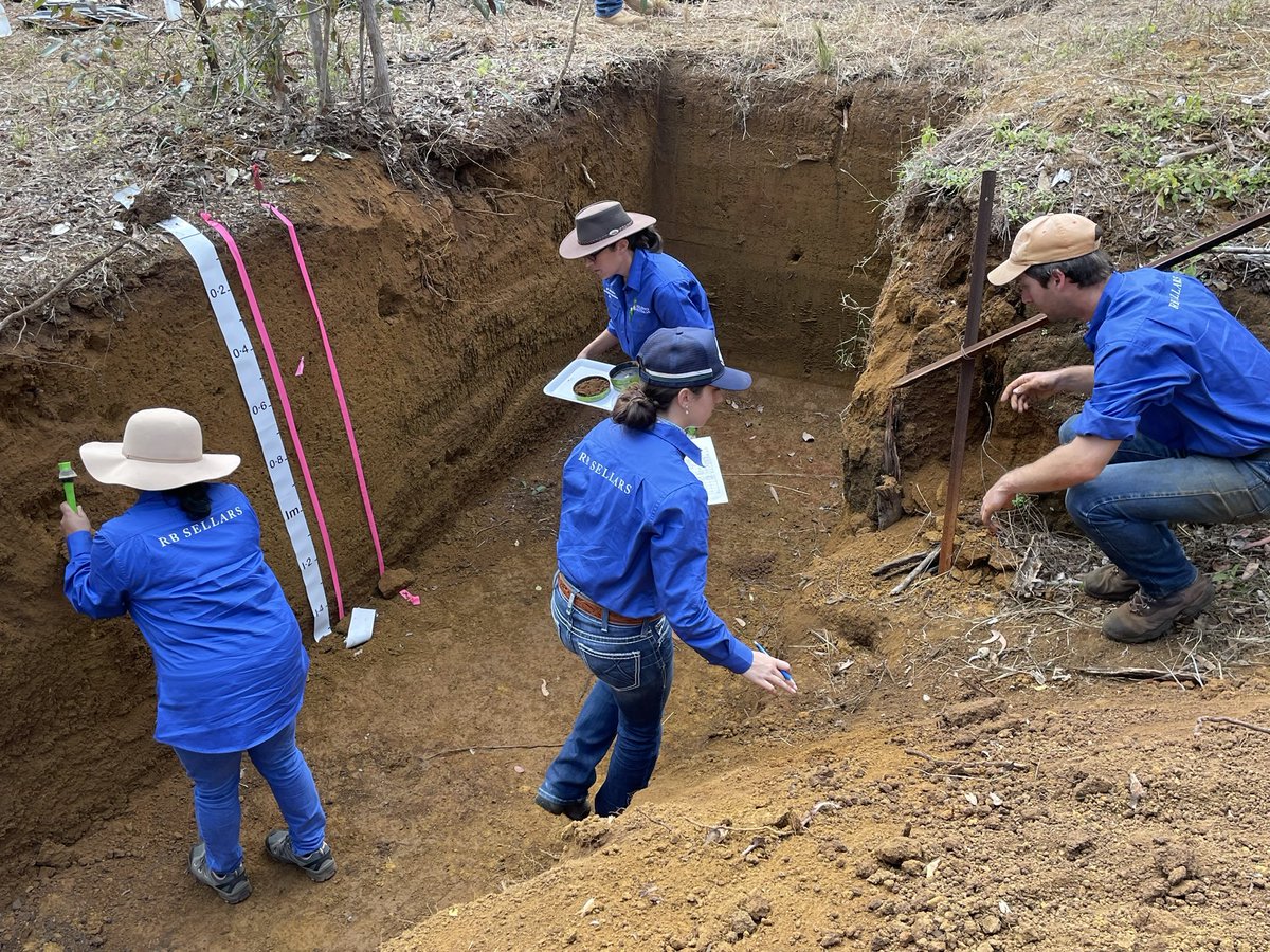 Team <a href="/UniNewEngland/">Uni of New England</a> being challenged with some tricky soil profiles at the 2021 National Soil Judging Competition. #soiljudgingau <a href="/SoilScienceAust/">Soil Science Australia</a>