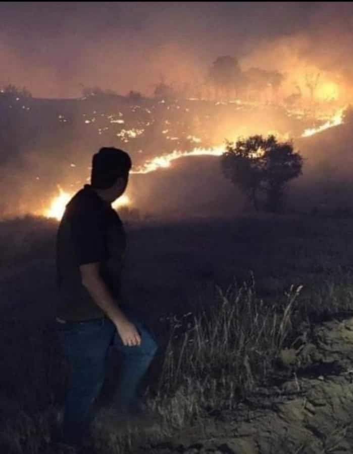 KazdaglarK's tweet photo. Bugün 3.gün, Bingöl'ün meşe ormanları hala yanıyor. Yangına müdahale yetersiz. Canlar yanıyor. Yangını söndürün! @OGMgovtr #BingölYanıyorSesOl https://t.co/cJKOSC7xEg