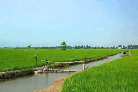 Hãy là chính mình và nói điều bạn muốn nói. Bởi những người thấy phiền lòng chẳng có ý nghĩa, và những người có ý nghĩa sẽ không thấy phiền lòng