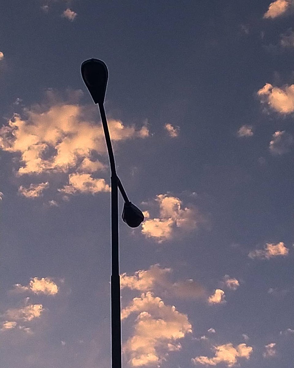 yas_sersadat's tweet photo. Normal 

#streetphotography #abird #skyphotography #normal https://t.co/vFI5KpGYc6
