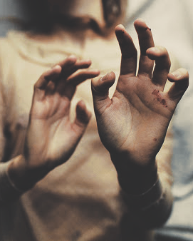 PROSPlClENCE's tweet image. 𝐈𝐅 there arise among you a prophet, and giveth thee a sign or a wonder, whereof he spake unto thee, saying, let us go after other gods [ . . . ] 

that prophet shall be put to death. [ . . . ] so shalt thou put the evil away from the midst of thee.

𝐝𝐞𝐮𝐭𝐞𝐫𝐨𝐧𝐨𝐦𝐲 𝟏𝟑.