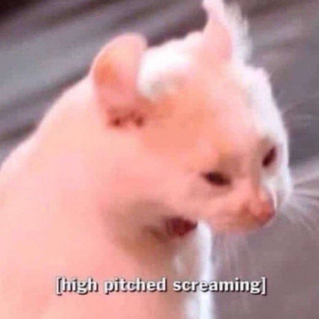 rue just broke in and summoned the tea eaters they are eating all thetea