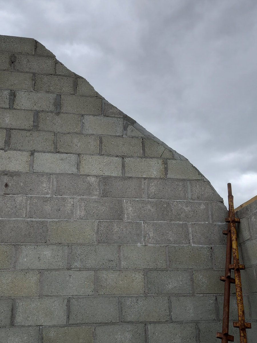 sheila ahern tweet media