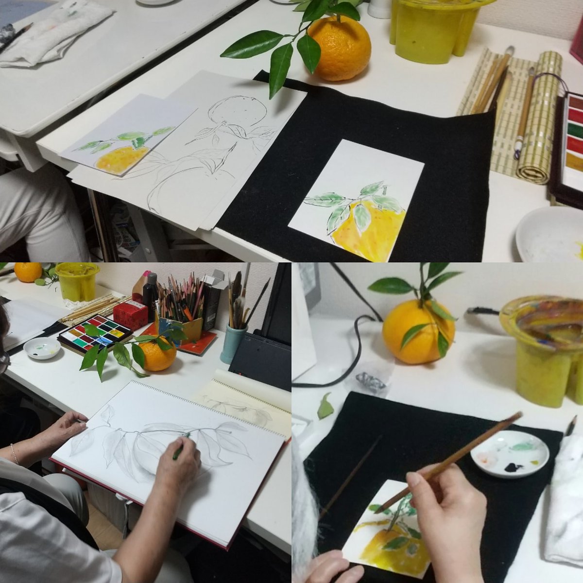 アトリエ どんぐりこども絵画造形教室 V Twitter 大人クラス デッサン 絵手紙教室の様子です 葉っぱ付きの夏蜜柑を描きました 大人クラス 絵手紙 デッサン デッサン教室 絵手紙教室 顔彩 鉛筆 夏蜜柑 町屋 荒川区 アトリエどんぐり Art 絵画教室
