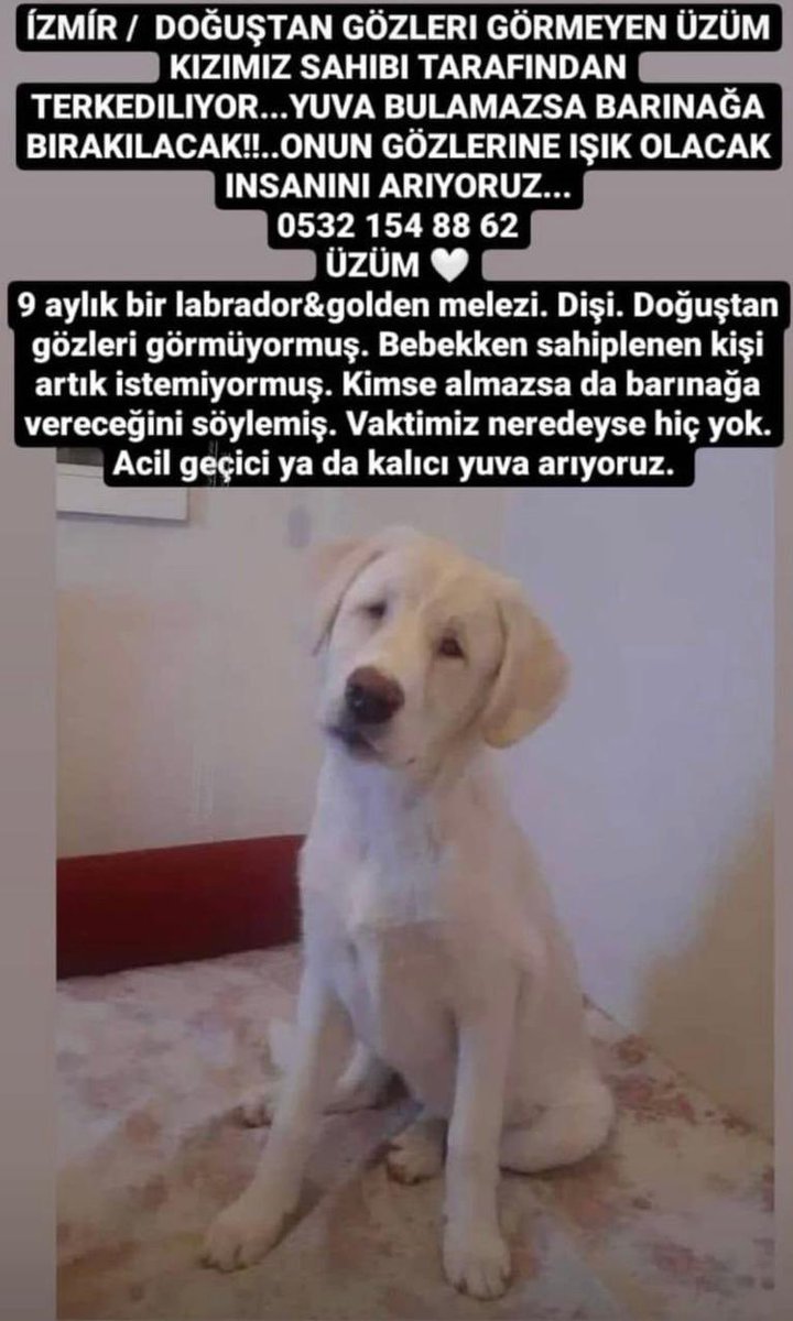 müthişdostlar (@maskofshape) on Twitter photo 