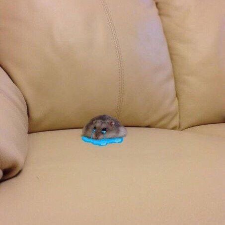 fix (@fixzf0rm) on Twitter photo 