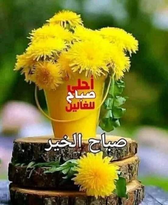 8RaqMHMSbJMbHva's tweet photo. تنفسوا الفــــر��
فإن الصبح قد تنفس
~ صباحكم لحظات فـــرح تملا قلوبكم النقية
صباحكم أحـــلام تأبي الاستسلام وأمـــنيات ستحقق ولو بعد حين
بإذن الله
فكل دعوة ستستجاب وكل مكسور سينجبر...
لأن اليد الممتدة إلي الله لا تعود فارغة
صباح الورد https://t.co/00XQdfDRaC