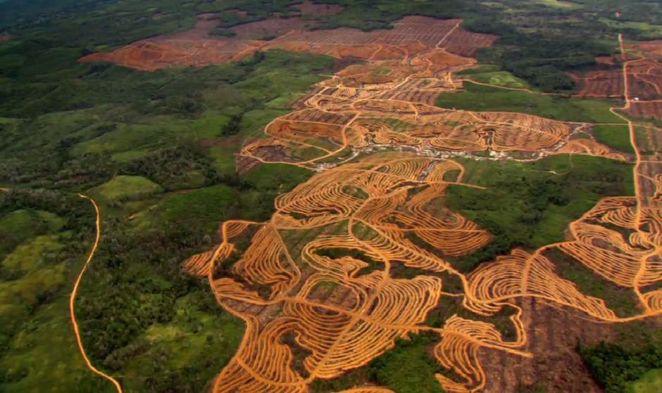 FundacValores's tweet photo. La deforestación continúa a un ritmo de 13 millones de hectáreas al año, y es responsable de entre un 12 y un 20 % de las emisiones de gases que producen el efecto invernadero.

#DesarrolloSostenible #Agenda2030 #SDGs #ODS #Youth2030 #ClimateAction
#politica #politicapublica https://t.co/UvI2KWavoy