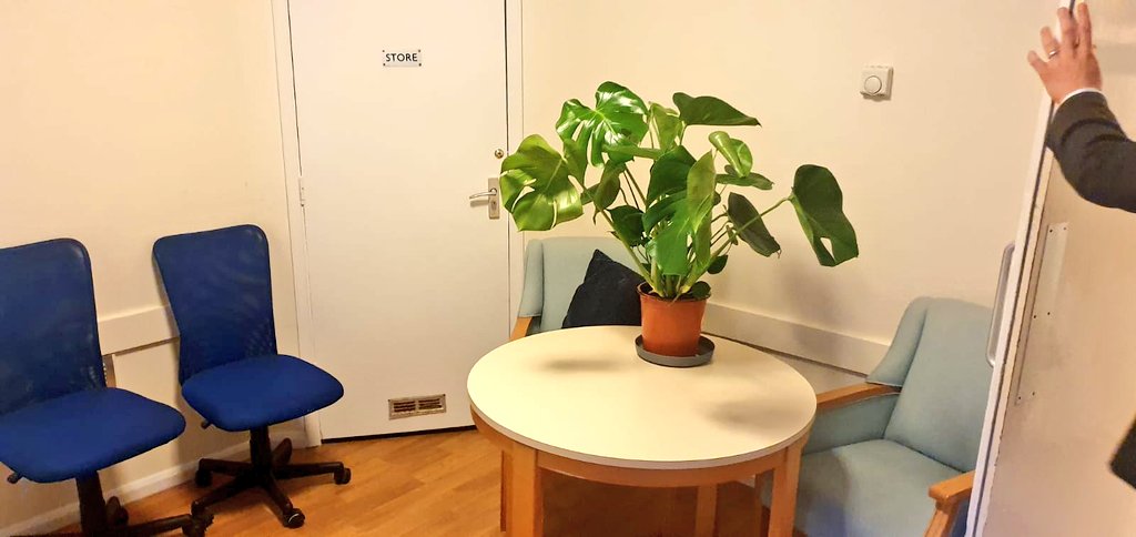 Will Quince tweet media