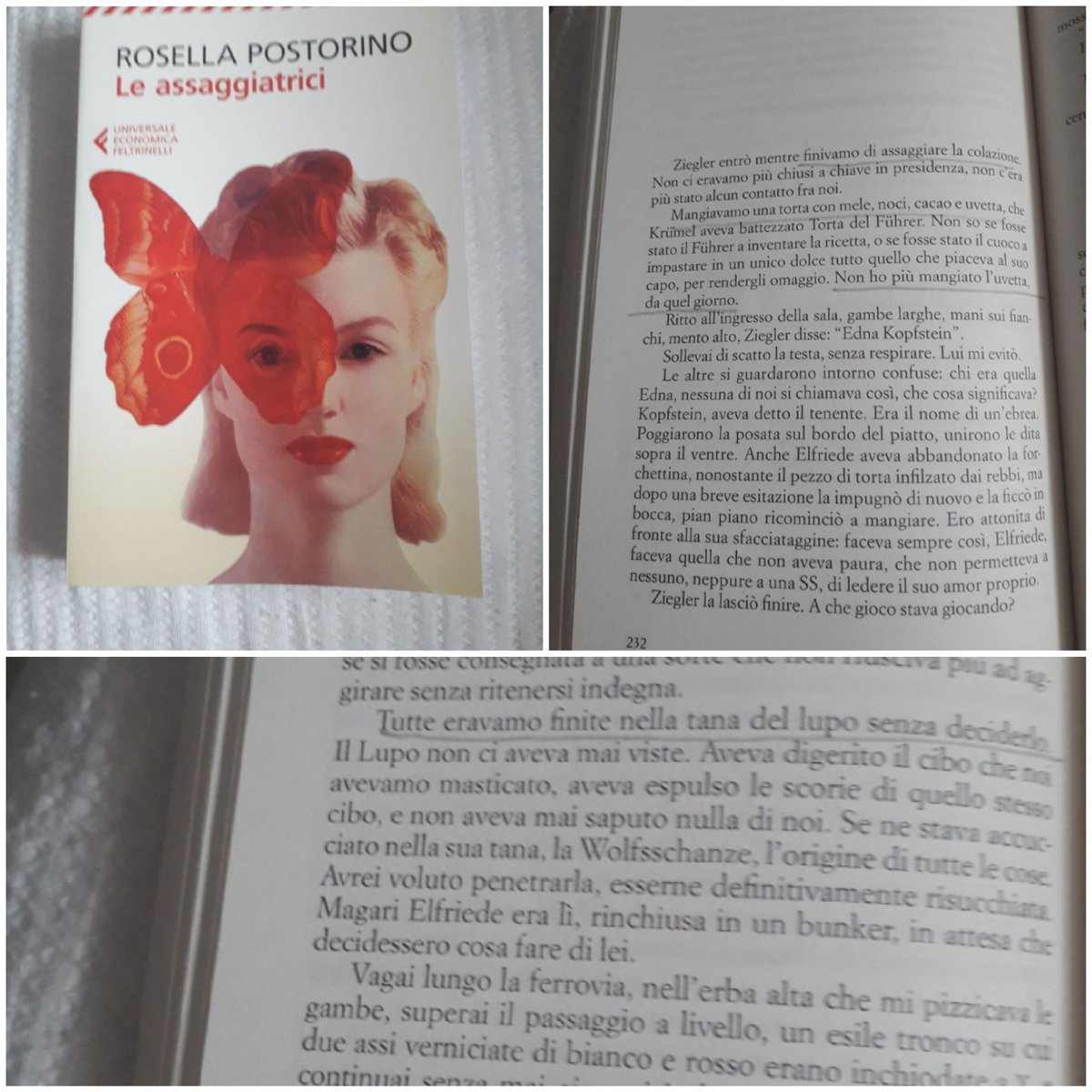 #readingtime lettura molto intensa e spiazzante: la #guerra da un punto di vista insolito attraverso #leassaggiatrici ovvero come sopravvivere "nella tana del lupo"... @rosella_postorino #passionelettura #storia #cultura #sfidelascuoladitutti #viaggio #cibo