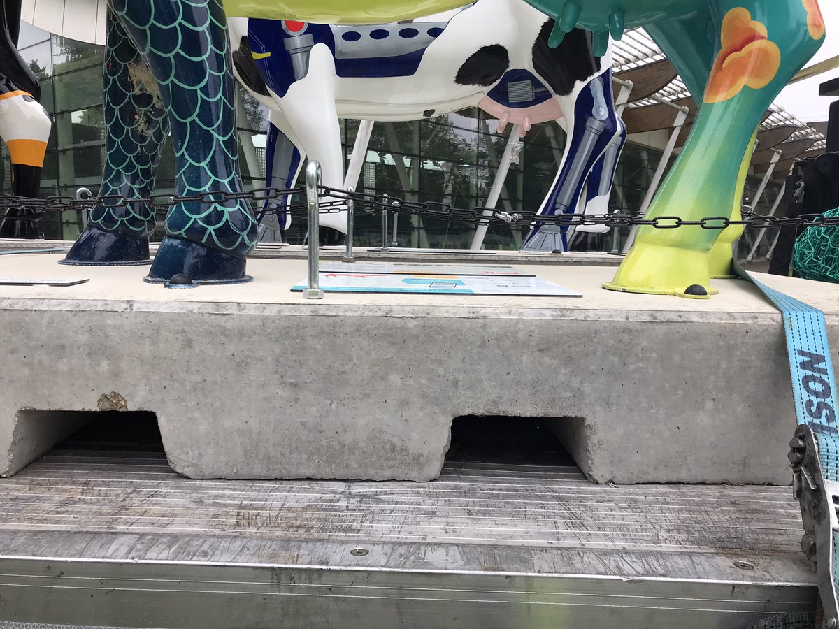 On the moove <a href="/cofinitive/">cofinitive</a> #MooCrew #CowsaboutCambridge