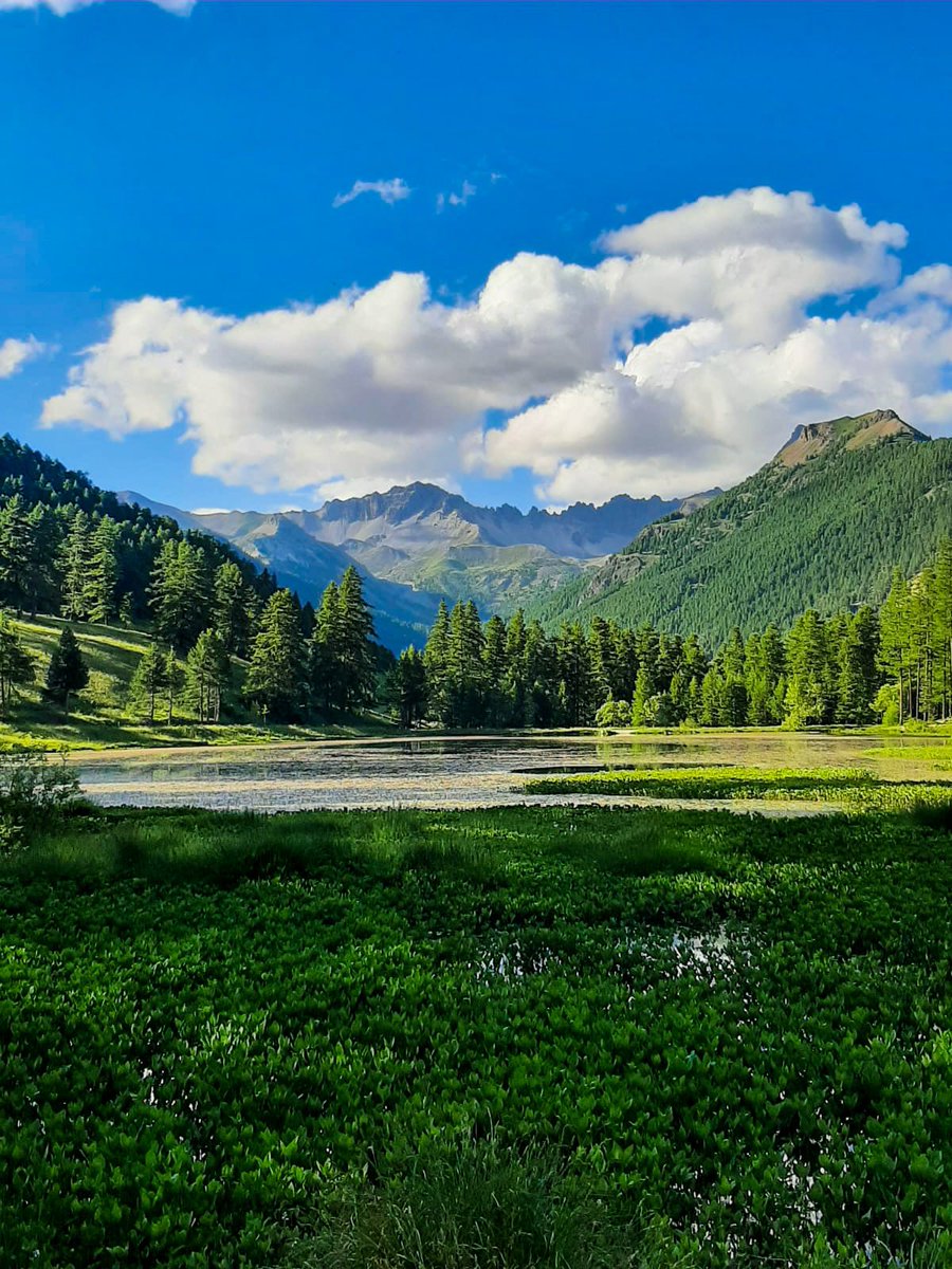 DermengiuMarian's tweet photo. I LOVE #France 📸@DermengiuMarian #Travel #photooftheday #nature #Escape #Randonee #explorefrance #Traveling #Passion #Photographie #VisitFrance #TourDeFrance https://t.co/oSq808PodU
