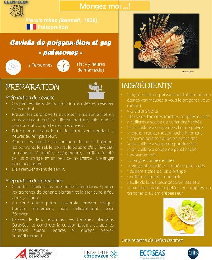 ClimEco2's tweet photo. 💥🐟👨🏻‍🍳🍲Cuisinez-moi ! (le poisson-lion)

.

.

💥🐟👨🏻‍🍳🍲 Cook me! (Lion-fish)

Recipes#nonindigenousspecies #mediterraneanbasin#Lessepsianfishspecies🐟#climatechange#CLIMECO²Project#univcotedazur #fpa2 https://t.co/5BqqG2VA4N